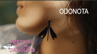 Odonota