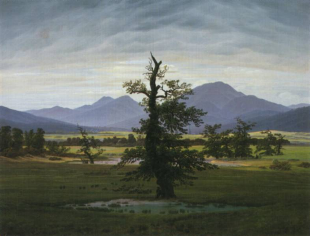 1822 - L'arbre solitaire